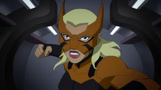 Tigress  All Fight amp Abilities Scenes  Young Justice S2S3 [upl. by Llertnom]