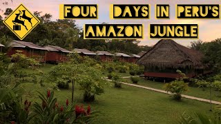 Four Days in Perus Amazon Jungle [upl. by Berstine312]